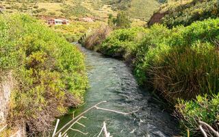 rushing river near bushes and giant tree nearby with distant mountains and cloudy sky in the background photo