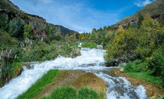 rushing river near bushes and giant tree nearby with distant mountains and cloudy sky in the background photo