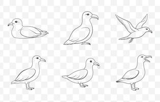 Petrel Line Art Set of Detailed Seabird Illustrations in Simple Elegant and Clean Design for Nature Artworks vector