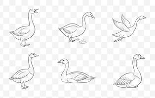 Goose Line Art Set Collection of Minimalist Goose Illustrations for Artistic Designs and Creative Projects vector