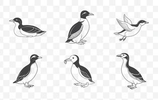 Print Murrelet Bird Line Art Set Featuring Detailed Illustrations of Seabird Species in Minimalistic Style vector