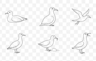 Comprehensive Shearwater Line Art Set for Illustrations and Design Projects in a Detailed Style vector