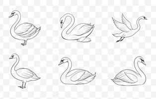 Print Elegant Swan Line Art Set Featuring Graceful Birds in Various Poses and Styles Perfect for Artistic Designs vector