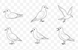 Detailed Storm Petrel Line Art Set for Illustrations and Designs with Various Petrel Poses and Styles vector