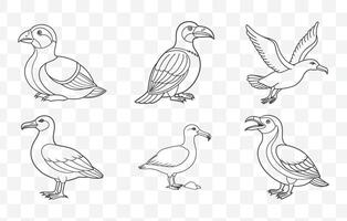 Print Auk Bird Line Art Set Detailed Illustrations of Auks in Minimalist Black and White Design vector