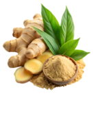 Whole Ginger Root Next to Ground Ginger on Transparent Background png