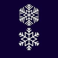 Two snowflakes are shown in a blue background. vector