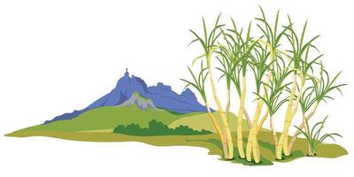 Sugarcane fields with famous Pieter Both mountain in the background. landscape of Moka mountain range, tourist attraction of Mauritius island. Horizontal illustration of landmark in flat style. vector
