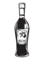 Liquor Nocino bottle isolated on white background. sketch, vintage hand engraving. Hand drawn ink drawing of a bottle. Line art of menu, design, label. vector