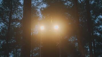 Illuminated Structure in a Misty Forest video