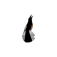 magpie bird image icon symbol design vector