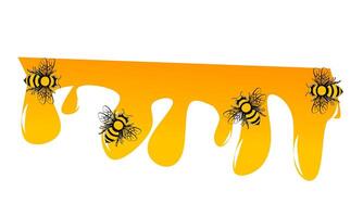 honey dripping from a bee on a white background vector
