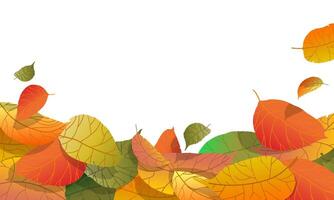 Autumn background with gradient tree leaves on white background. Autumn fallen tree leaves. Harvesting. vector