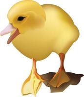 Vibrant digital art of a charming yellow duckling standing, perfect for children's media vector