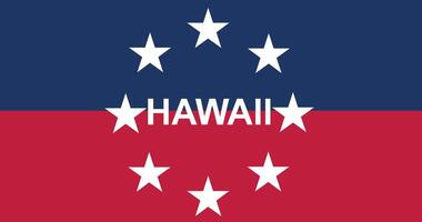 Top view of Governor of Hawaii pre 1959 , USA flag, no flagpole. Plane design layout Flag background vector