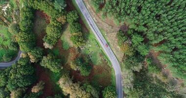 a red car driving on a windy mountain road, aerial view with drone video