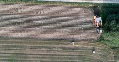 aerial footage with drone in a potato field a tractor with combine harvester maneuvering video