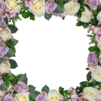 Includes many colored roses fresh flower frame cut out isolated transparent background png