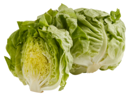 Fresh lettuce wrap cut out isolated transparent background png