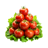 tomatoes on a plate with lettuce on top png