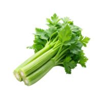 celery celery on transparent background png