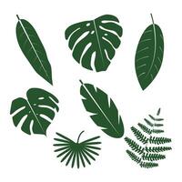 A collection of green tropical leaves in various shapes, a seamless pattern on a white background. vector