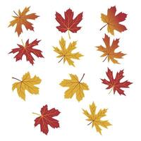 Set of autumn leaves from different trees, Hello autumn card. Flat illustration on white background. vector