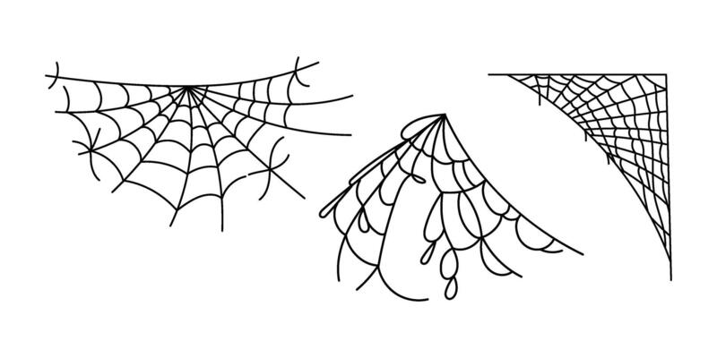 Halloween decor, spider cobweb, hand drawn illustration isolated on white background. Vintage, doodle sketch set.