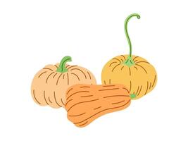 flat style Halloween Illustration. Hand-drawn pumpkins sketch isolated on white background. Element for labels, packaging and cards design. vector