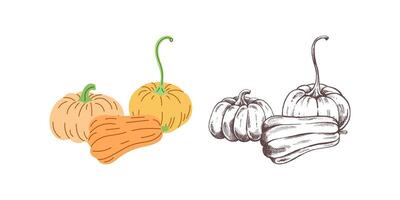 flat and sketch style Halloween Illustration. Hand-drawn pumpkins sketch isolated on white background. Element for labels, packaging and cards design. vector