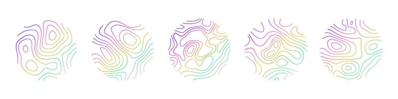 Circular wood rings or topographic map lines texture set. Wood tree topographic abstract lines collection vector