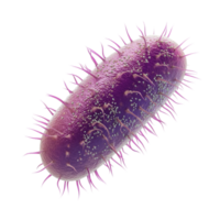 3d representación de púrpura bacteria con largo IA generativa png