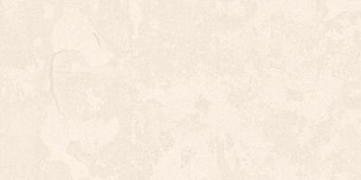 Dotted textured background, noisy gritty dot halftone effect. Gradient beige eggshell texture, pastel overlay. Paper old dusty grunge backdrop. vector