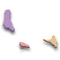 3d isometric colored map of Comoros vector
