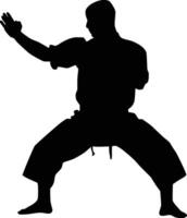 Karate men punch pose silhouette vector