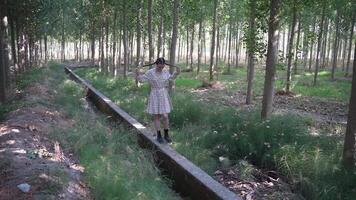 A young girl walks a winding path in a lush forest, embodying adventure and childhood innocence video