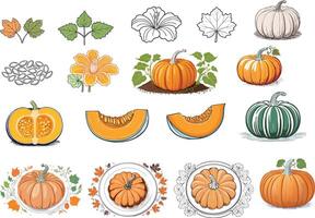 colorful hand drawn pumpkin illustration set vector