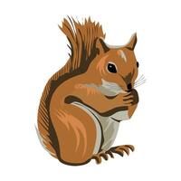 ardillas, ardilla dibujo isolated on white background vector