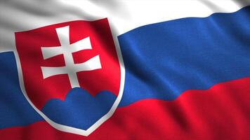 Flag of Slovakia.Motion.A rectangular panel consisting of three equal horizontal stripes. the upper one is white, the middle one is blue and the lower one is red video