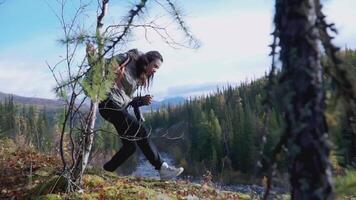 The tops of the trees. clip. Forest from above. Beautiful green forest from afar. Big dark forest. Gorgeous view of the trees from afar video