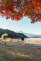 man tourist with Fuji Mountain at Lake Kawaguchi in Autumn season, happy Traveler travel Mount Fuji, Yamanashi, Japan. Landmark for tourists attraction. Japan Travel, Destination and Vacation photo