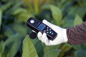Light meter, Lux Light Meter hold in hand to measure the brightness of tobacco plants in the field. soft and selective focus. photo
