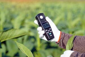 Light meter, Lux Light Meter hold in hand to measure the brightness of tobacco plants in the field. soft and selective focus. photo