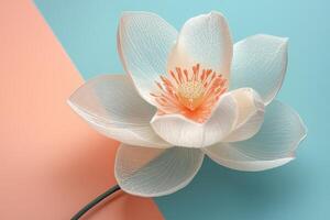 Elegant White Lotus Flower on Pastel Background with Soft Lighting and Delicate Petals photo