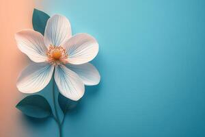 Elegant White Flower with Blue and Orange Gradient Background, Close-Up of Delicate Petals and Leaves photo