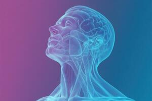 Futuristic 3D Render of Human Head with Transparent Muscles and Brain on Gradient Background photo