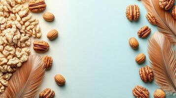 Assorted Walnuts and Feathers on a Light Blue Background with Copy Space photo