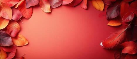 Vibrant Autumn Leaves and Feather on Red Background - Seasonal Fall Nature Concept photo