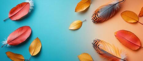 Colorful Autumn Leaves and Feathers on a Vibrant Gradient Background photo