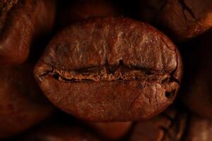 Coffee beans under warm light in close-up photo